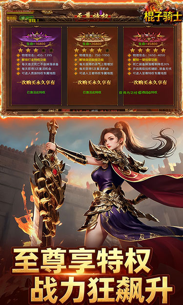 棍子骑士（3.5折GM超变版）游戏截图